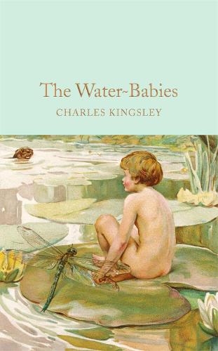 The Water-Babies: A Fairy Tale for a Land-Baby - Macmillan Collector's Library (Hardback)