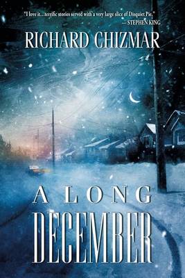 A Long December (Paperback)