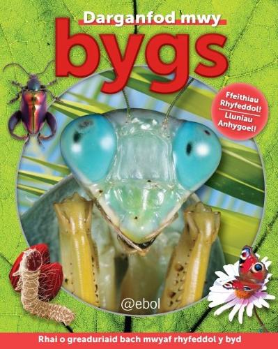 Bygs (Paperback)