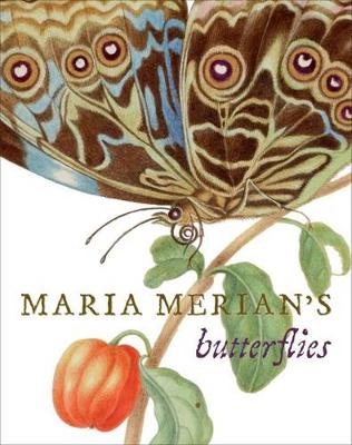 Maria Merian's Butterflies (Hardback)
