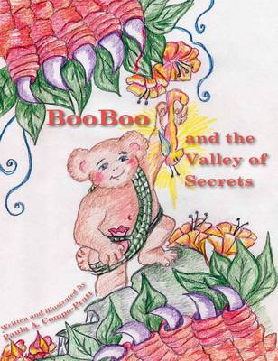 Booboo and the Valley of Secrets (Hardback)