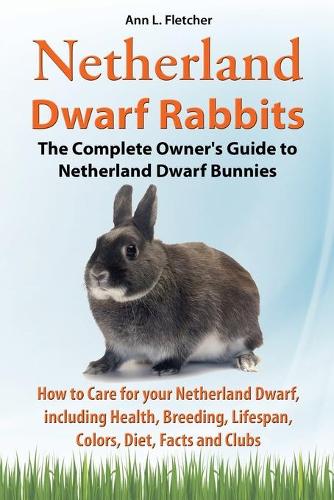 Netherland dwarf rabbit store care