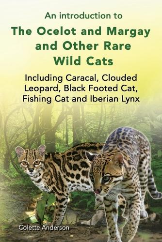 An Introduction to the Ocelot and Margay and Other Rare Wild Cats Including Caracal, Clouded Leopard, Black Footed Cat, Fishing Cat and Iberian Lynx (Paperback)