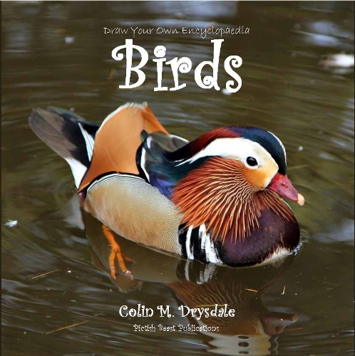 Draw Your Own Encyclopaedia Birds - Draw Your Own Encyclopaedia 2 (Paperback)