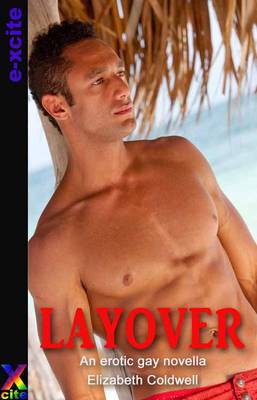Layover: An erotic gay novella (Paperback)