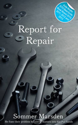 Report for Repair: Erotic Gay Fiction (Paperback)