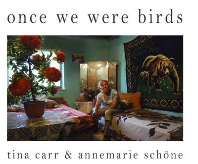 Once We Were Birds: The Roma, Gypsies and Travellers Today (Hardback)