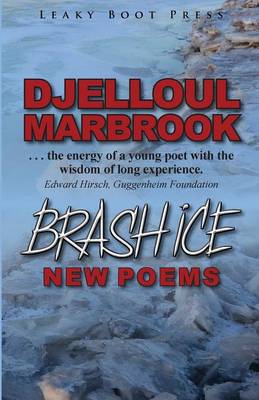 Brash Ice (Paperback)