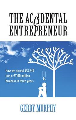 The Accidental Entrepreneur: How We Turned 3,749 into a 100 Million Business in Three Years (Paperback)