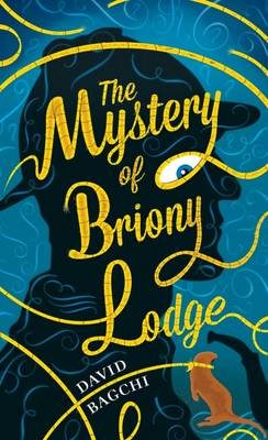 Mystery of Briony Lodge (Hardback)