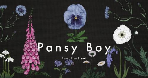 Pansy Boy (Hardback)