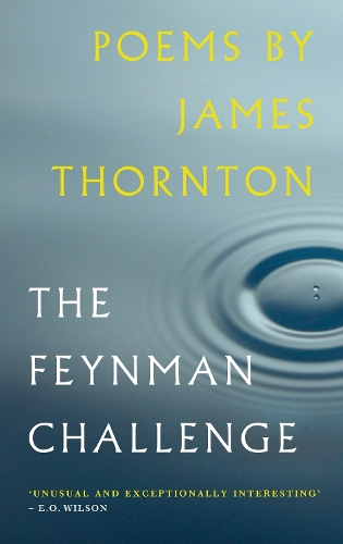 The Feynman Challenge (Paperback)