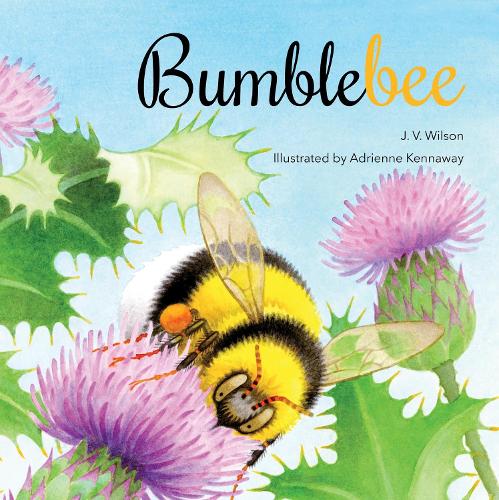 Bumblebee (Paperback)