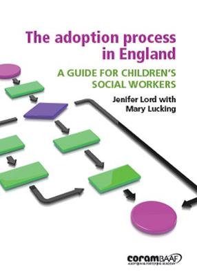 The Adoption Process In England (Paperback)