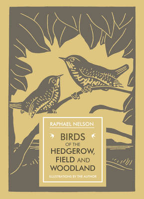 Birds of the Hedgerow, Field and Woodland (Paperback)