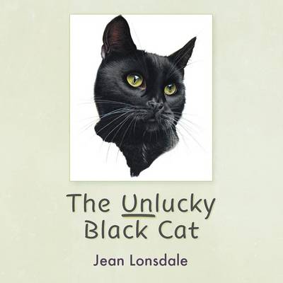 The Unlucky Black Cat (Paperback)