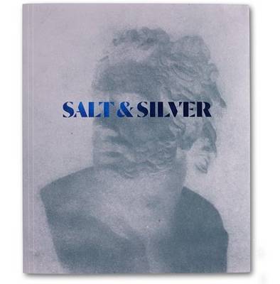 Salt & Silver (Paperback)