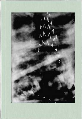 The Narcissisic City Notebook (Hardback)