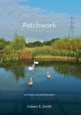 Patchwork (Paperback)