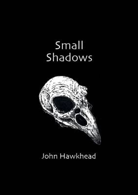 Small Shadows (Paperback)