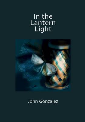 In the Lantern Light (Paperback)