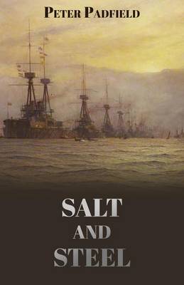 Salt and Steel (Paperback)