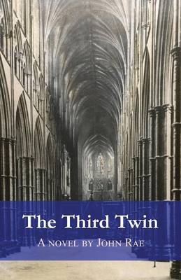 The Third Twin: A Ghost Story (Paperback)