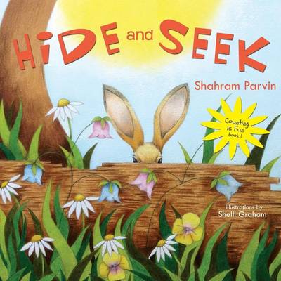 Hide and Seek - Counting Is Fun Book 1 (Paperback)