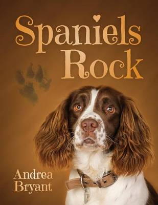 Spaniels Rock: Book 1 (Paperback)