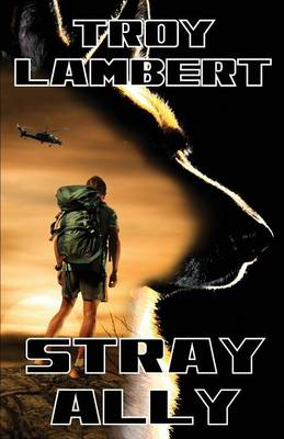 Stray Ally (Paperback)
