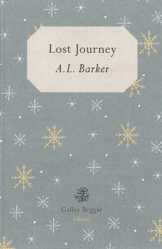 Lost Journey (Paperback)