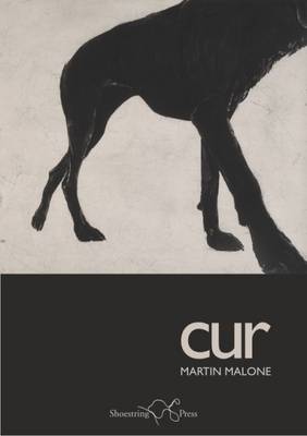 Cur (Paperback)