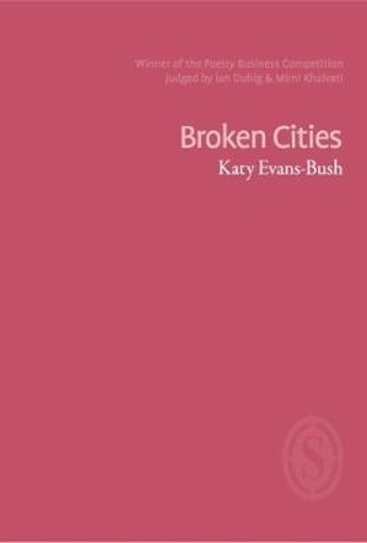 Broken Cities (Paperback)
