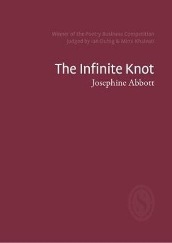 The Infinite Knot (Paperback)