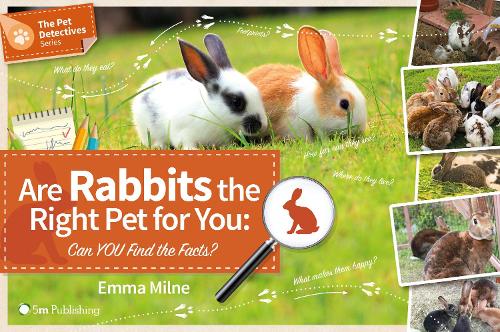 Are Rabbits the Right Pet for You?: Can You Find the Facts? - The Pet Detectives Series 1 (Paperback)