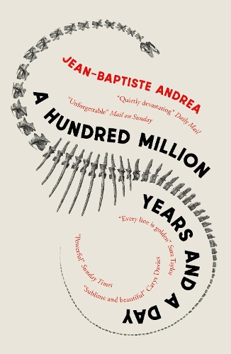 Pushkin Press A Hundred Million Years And A Day