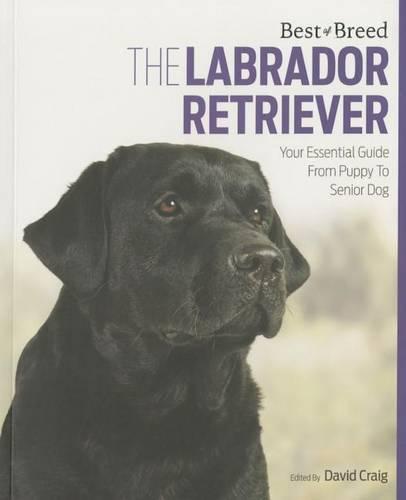 Labrador Retriever Best of Breed - Best of Breed (Paperback)