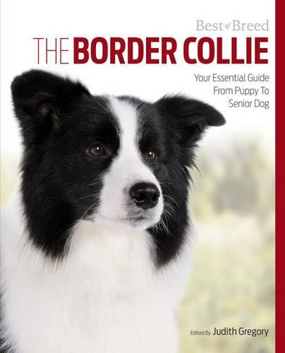 Border Collie Best of Breed (Paperback)