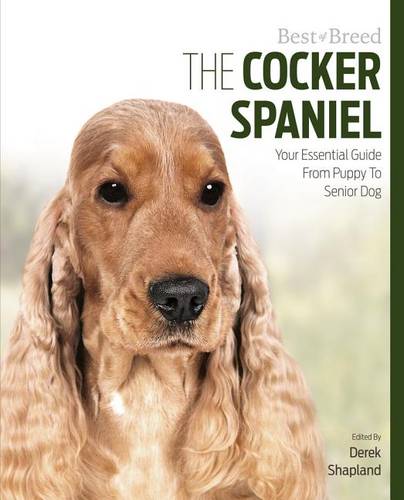 Cocker Spaniel Best of Breed (Paperback)