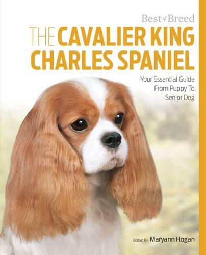 Cavalier King Charles Spaniel Best of Breed (Paperback)