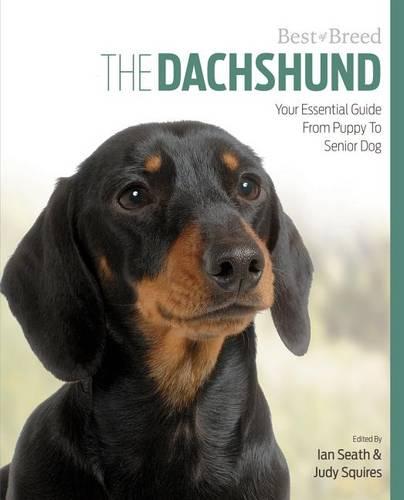 Dachshund Best of Breed (Paperback)