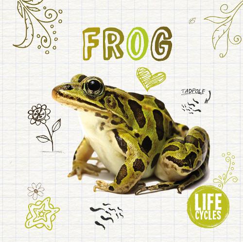 Life Cycle of a Frog - Life Cycles 1 (Hardback)