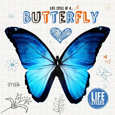 Life Cycle of a Butterfly - Life Cycles 2 (Hardback)