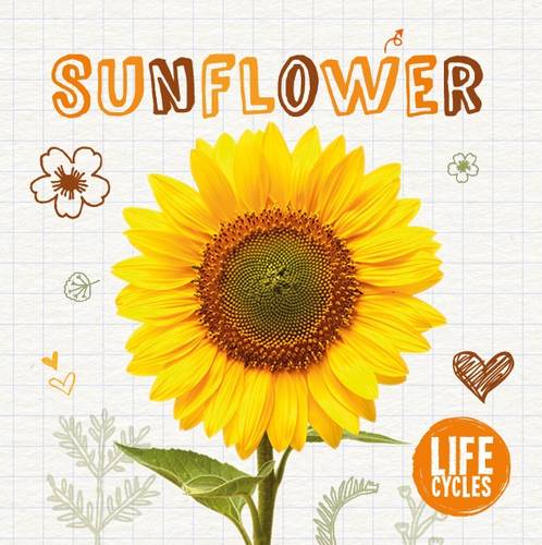 Life Cycle of a Sunflower - Life Cycles 4 (Hardback)