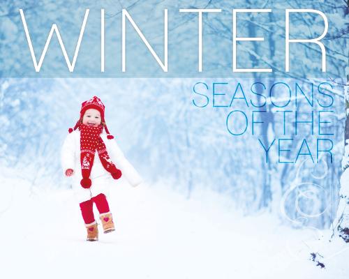 Winter - Seasons of the Year (Hardback)