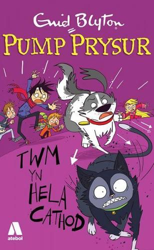 Pump Prysur: Twm yn Hela Cathod (Paperback)