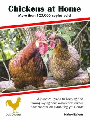 Chickens at Home (Paperback)