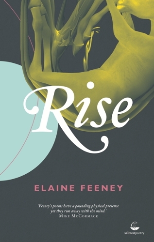 Rise (Paperback)