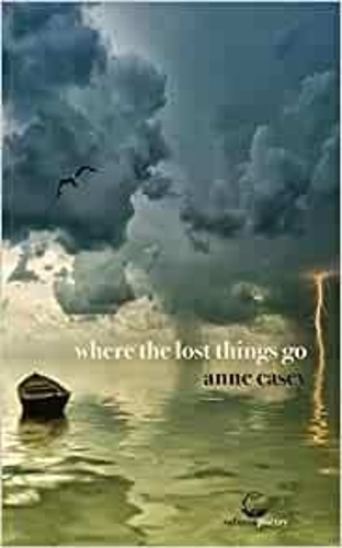 where the lost things go (Paperback)