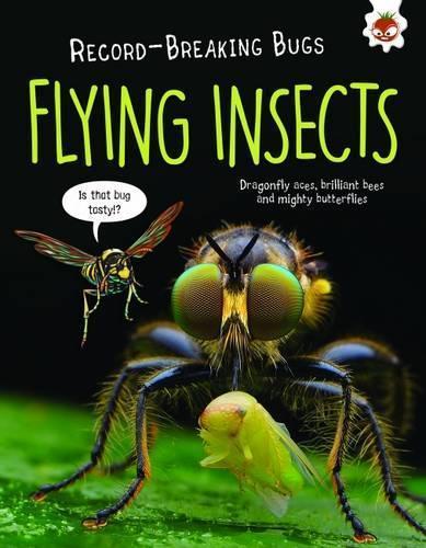 Flying Insects - Record-Breaking Bugs (Paperback)